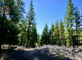 69748 Chippy Ln, Blairsden Graeagle, CA 96103