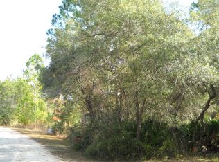 Oak Pond Circle, Steinhatchee, FL 32359