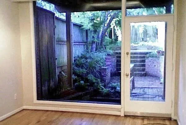 Back Yard from Living Room
