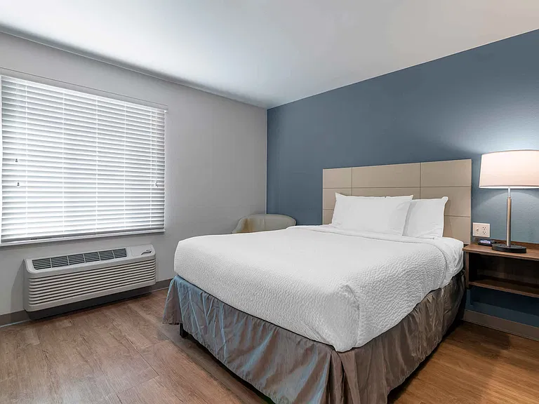 Studio Suite - 1 Queen Bed