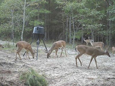 8788 Salter Rd, Bartow, GA, 30413