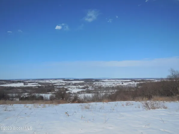 L8.01 Barringer Road, Cherry Valley, NY 13320