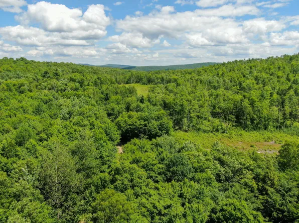 Lot 6 Treadwell Hill Road, Springfield, ME 04487