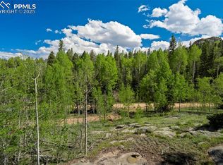 627 Eagle Rock Rd, Florissant, CO 80816
