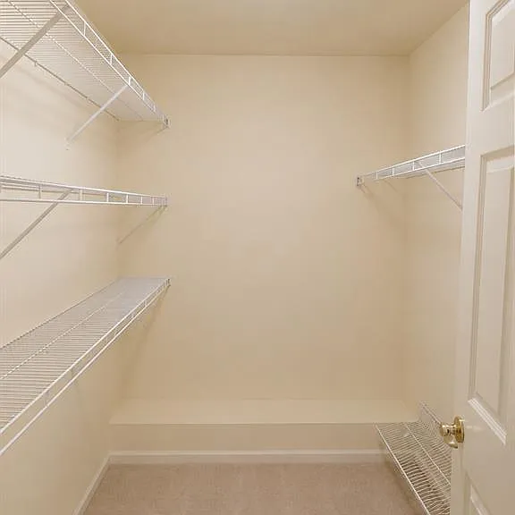 29377 Whistler Dr — Photo 26