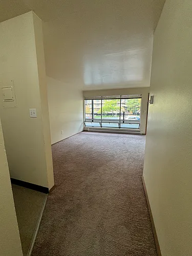 4119 11th Ave NE #1003 Photo 1
