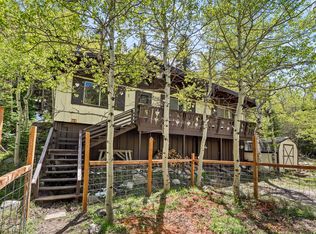 702 Bryan Ave, Nederland, CO 80466