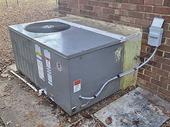 5th image of 1697 Cardinal Rd