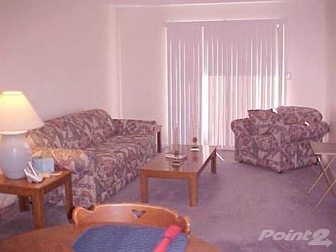 Living room is a nice size.