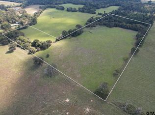 B Cres #435, Frankston, TX 75763