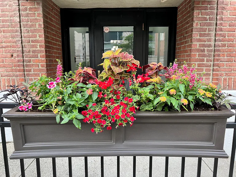 Hudson Pointe Apartments 55+ Community — Photo 10