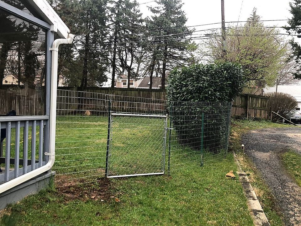 Back Yard May 2020