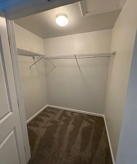 Master Closet