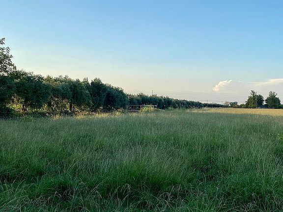 Irrigated Pasture!