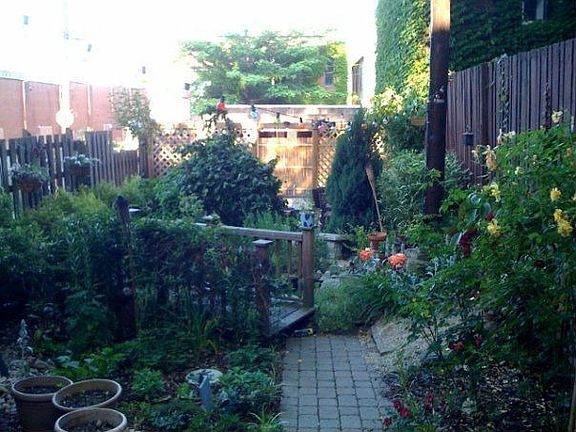garden