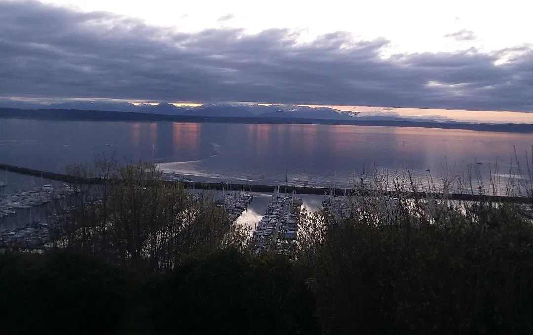Beautiful 1940's home with stunning view of Pufet sound- Lease takeover through 6/30/2027 — Photo 4