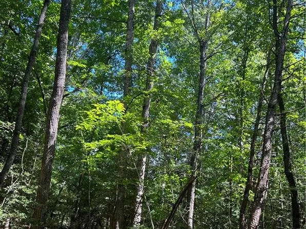 0 Wind Ridge Ln, Dobson, NC 27017