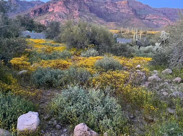 0 S Buckboard Road #2, Gold Canyon, AZ 85118