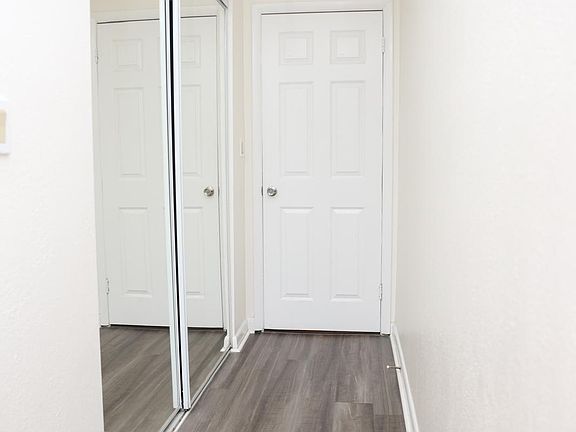 Master bedroom entrance and closet