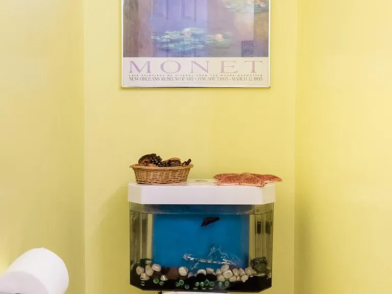 Fish tank toilet in downstairs half back