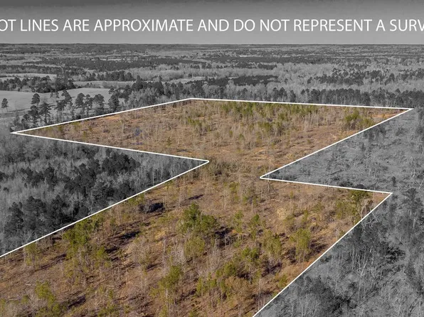 0 County Road 415 W, Henderson, TX 75654