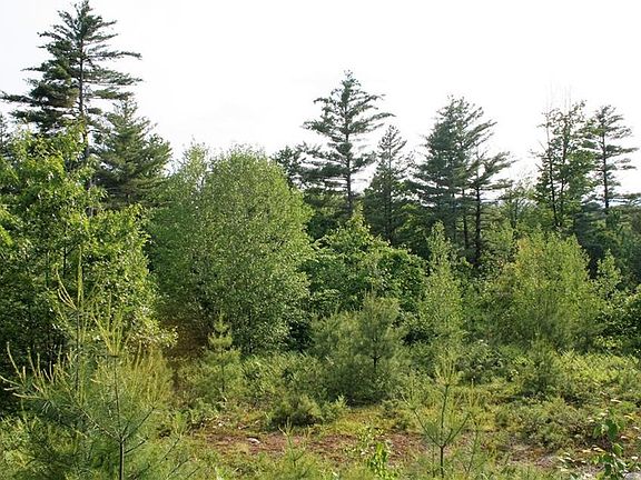 2nd image of 0012 Keene Lane