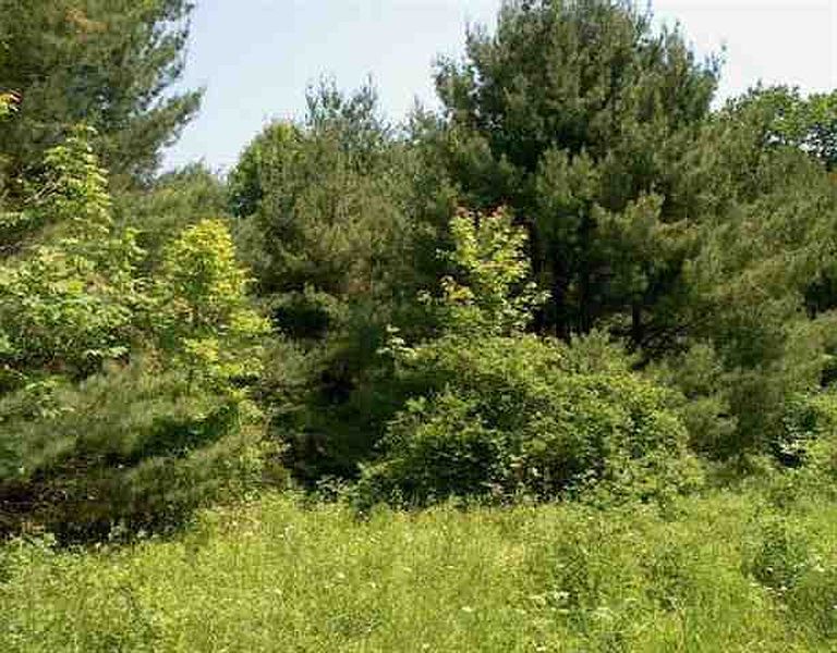 3rd image of RONEY Road