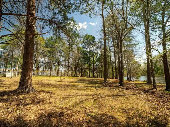 190 County Road 4826, Winnsboro, TX 75494