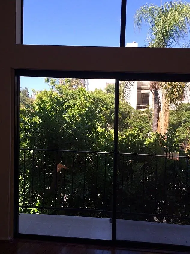 3 bed, 2.5 bath, 1700 sqft, $4,650 — Photo 4