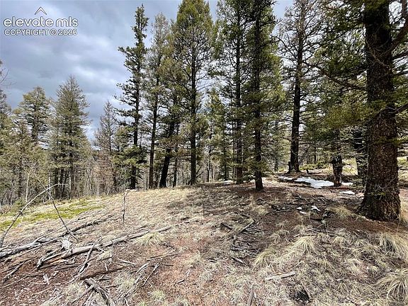 2nd image of 228 Alpine Dr