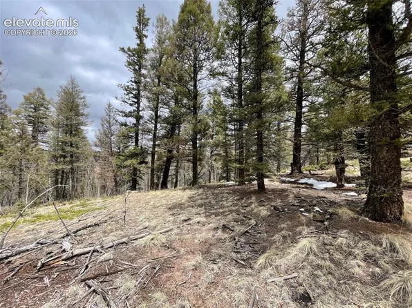 228 Alpine Dr, Florissant, CO 80816