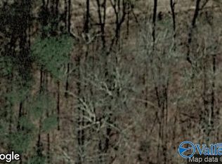 29 Roden Ridge Rd, Guntersville, AL 35976