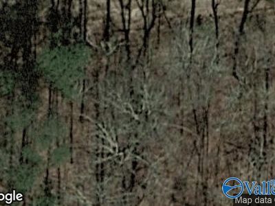 3 Roden Ridge Rd, Guntersville, AL, 35976