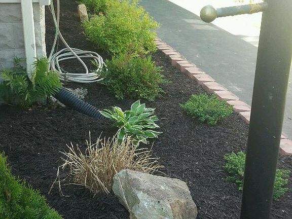 3rd image of 697 Homewood Ave