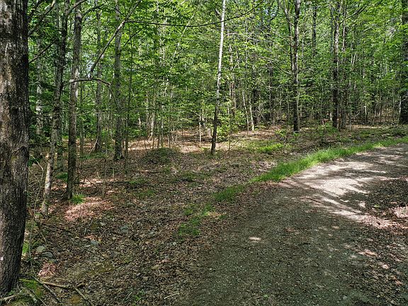5th image of M5 L24 Goosepecker Ridge