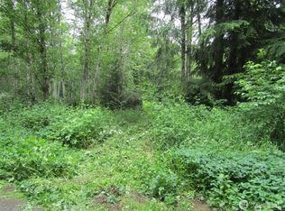 0 Davis Lake Rd, Morton, WA 98356