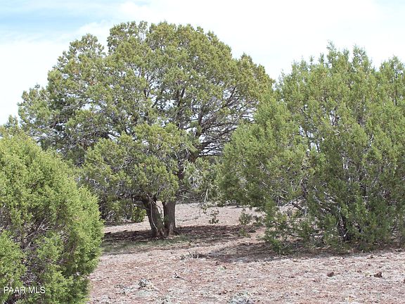5th image of LOT 306 Olivas Alone