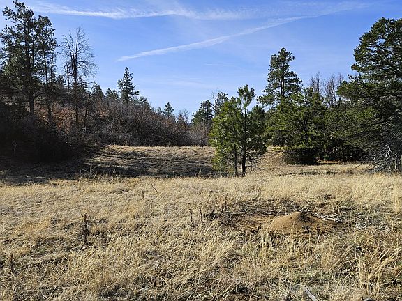 2nd image of 338 Rancho La Garita Filing #10