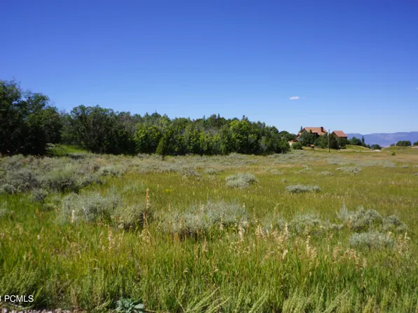 193 N Lone Pine Rd, Mount Pleasant, UT 84647