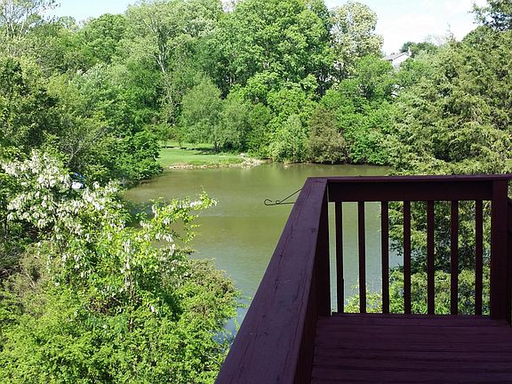 A view of the pond from back deck