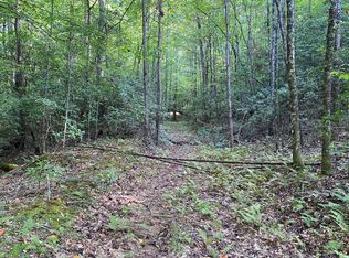 137 Brandons Way, Suches, GA 30572