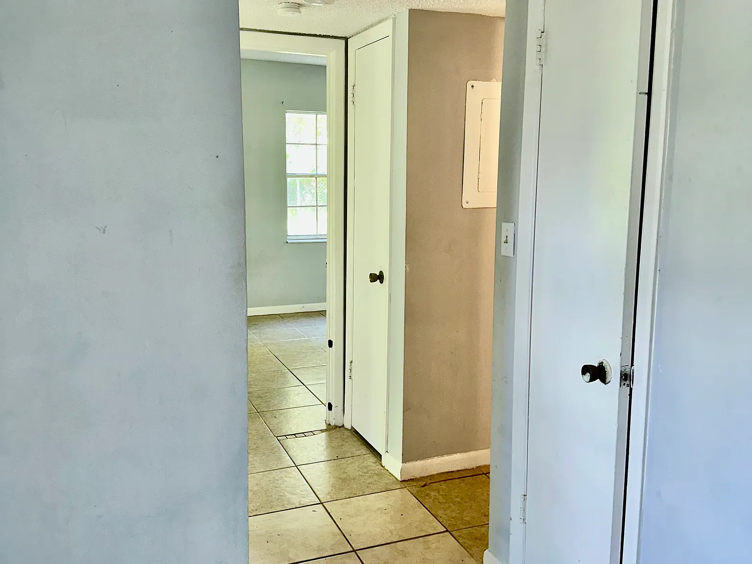 2 bed, 900 sqft, $1,100 — Photo 4