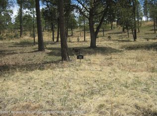 118 Charles McClellan Dr, Ruidoso, NM 88345
