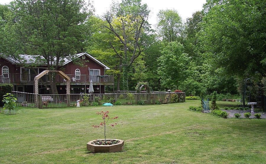tiny view of back yard