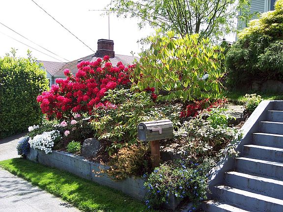 Flowers blooming