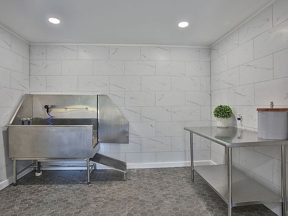 Pet Grooming Station