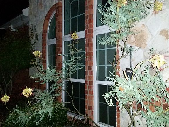 3rd image of 722 Country Manor Ln