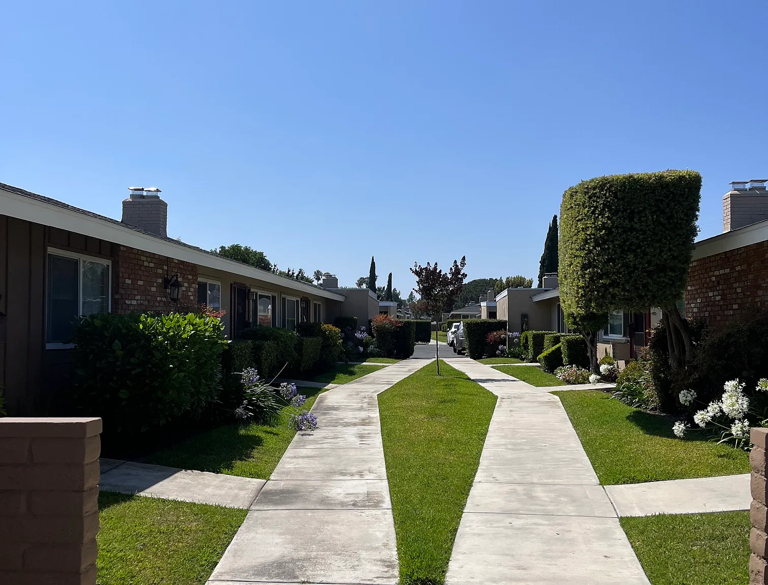Pointe Newport Apartments — Photo 3