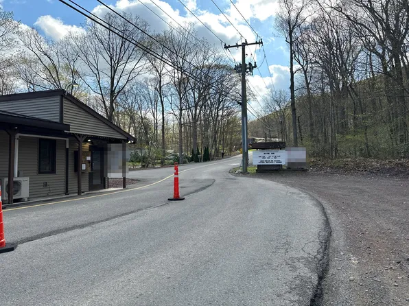 141 Edge Rock Dr, Drums, PA 18222