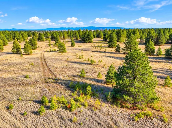 0 N Dover Rd Lot 10, Medical Lake, WA 99022